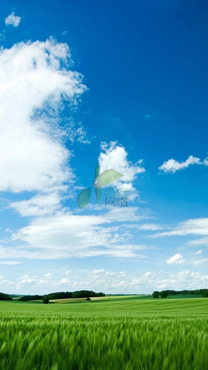 WZ125C֙C(j)W(wng)վO(sh)
